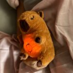 Peluche Capibara que respira